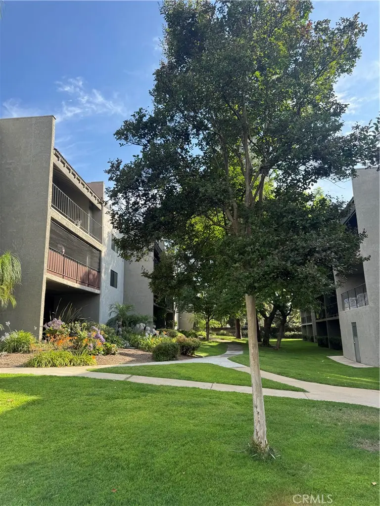 242 E Fern, Redlands, CA 92373 - #1