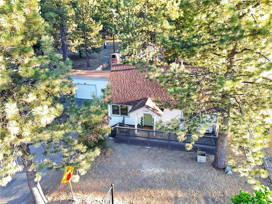 1081 Apple Avenue, Wrightwood, CA 92397 - #3