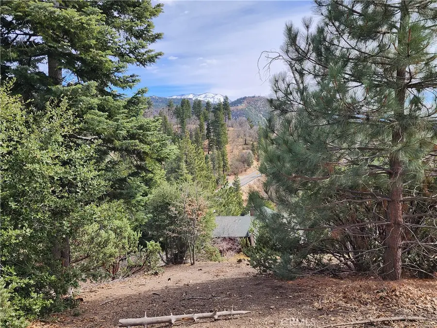 30914 Old City Creek Road, Running Springs, CA 92382 - #3