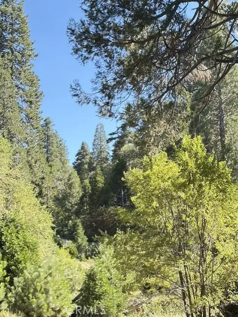 27263 State Highway 189, Blue Jay, CA 92317 - #3