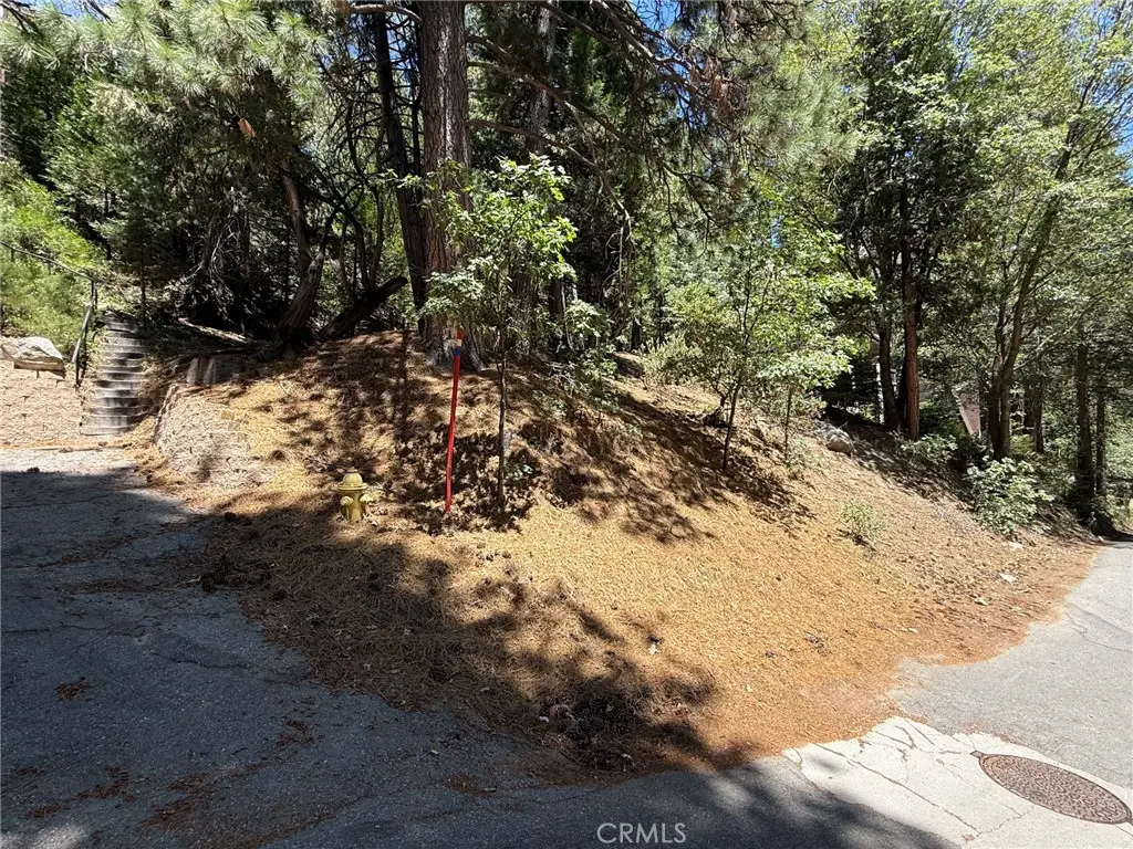 0 Club House Drive, Lake Arrowhead, CA 92352 - #1