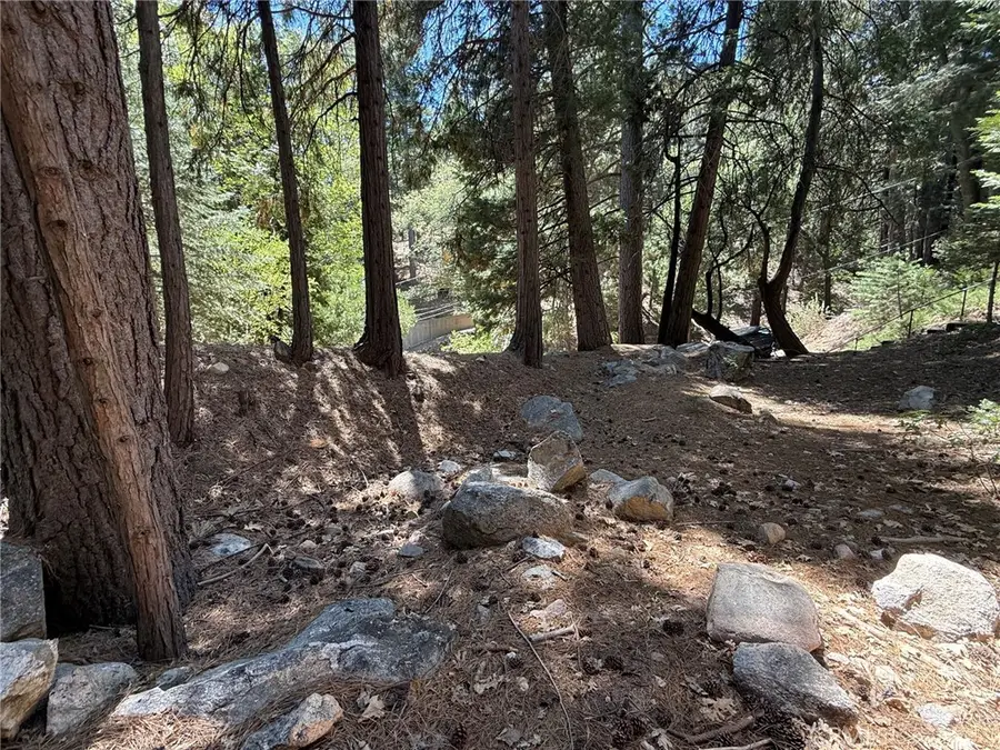 0 Club House Drive, Lake Arrowhead, CA 92352 - #3