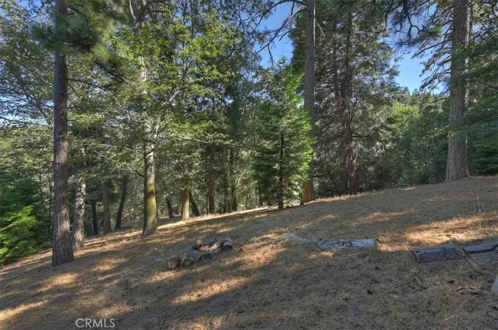 0 Pine, Cedarpines Park, CA 92322 - #1