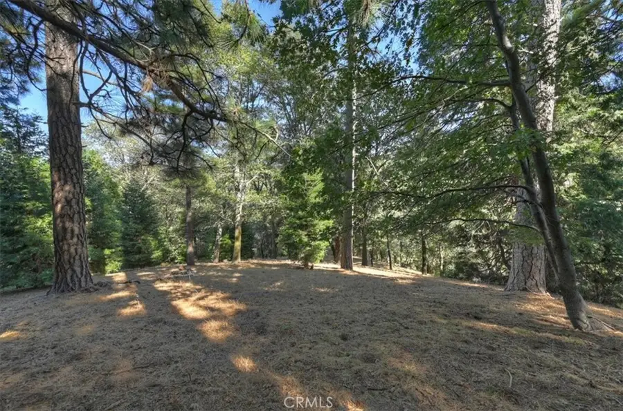 0 Pine, Cedarpines Park, CA 92322 - #2