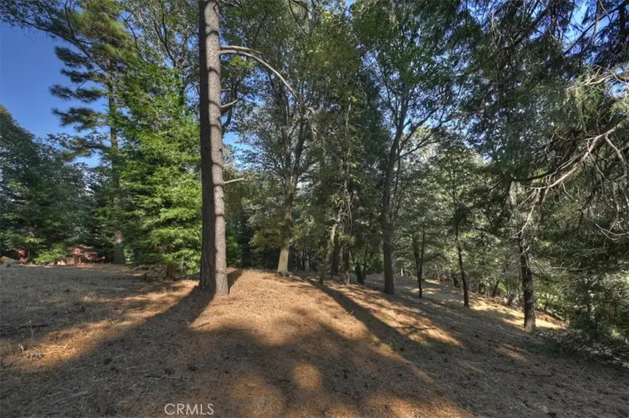 0 Pine, Cedarpines Park, CA 92322 - #3