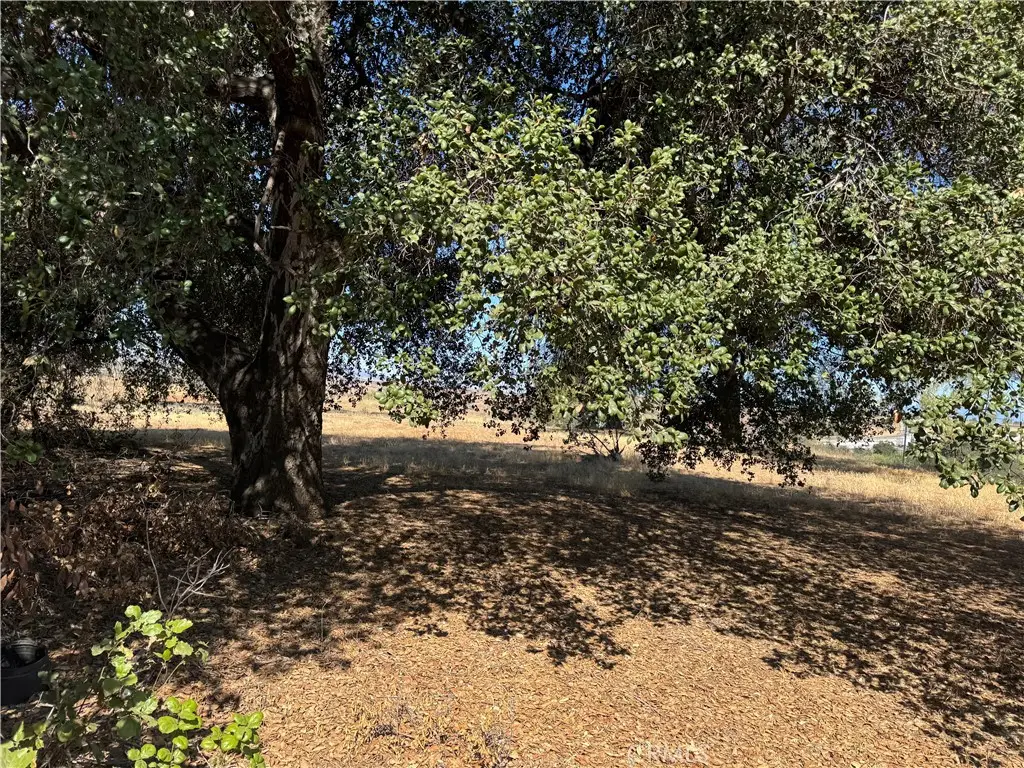 61 Redwood, Calimesa, CA 92320 - #1