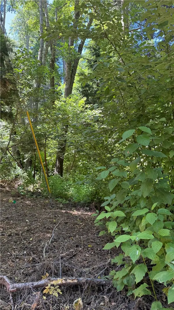 0 Rainbow, Lake Arrowhead, CA 92352
