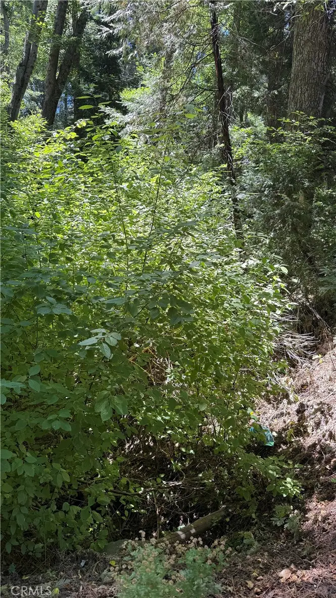 0 Rainbow, Lake Arrowhead, CA 92352 - #2