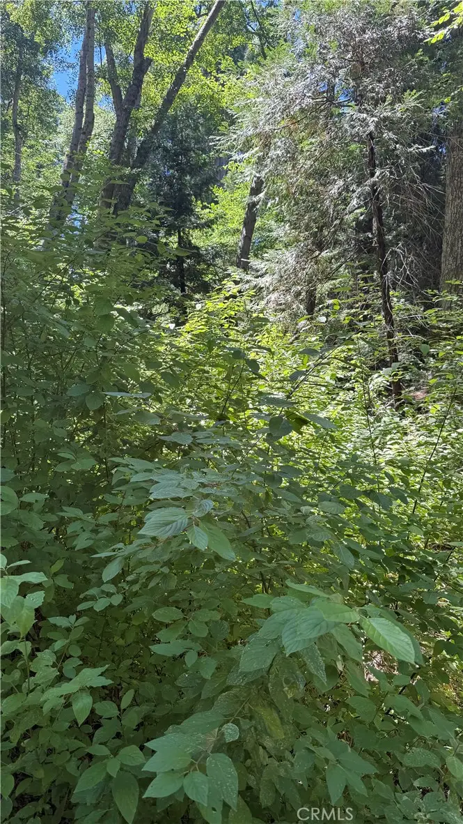 0 Rainbow, Lake Arrowhead, CA 92352 - #3