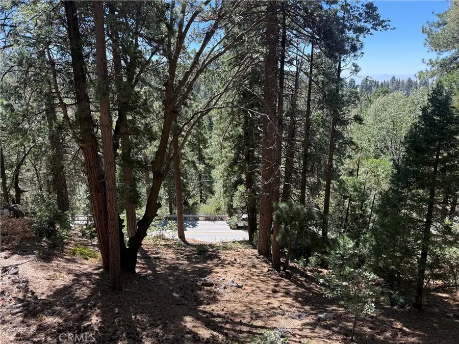 32375 Scandia Dr, Running Springs, CA 92382 - #3