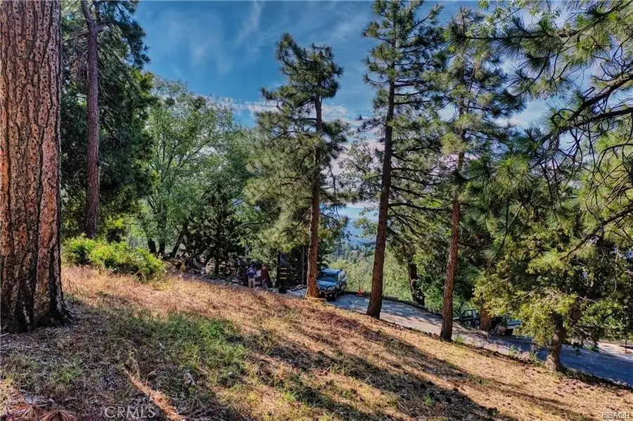 0 Lot 246 Ferndale Dr, Running Springs, CA 92382 - #3