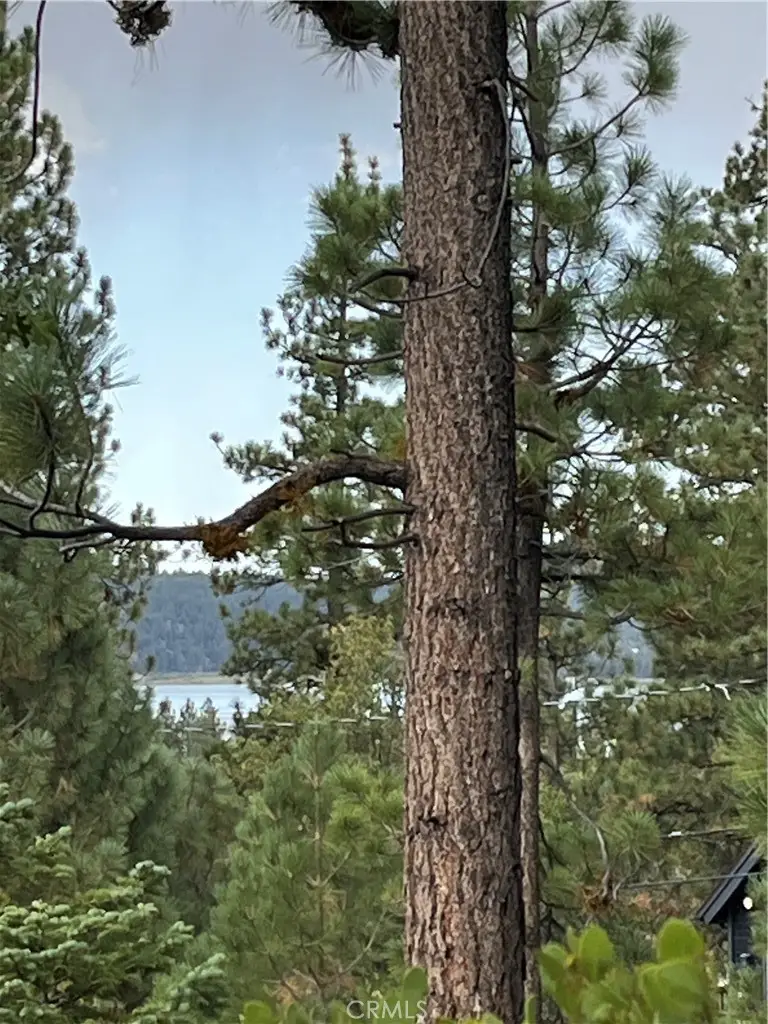 833 Great Spirits, Big Bear Lake, CA 92315 - #1