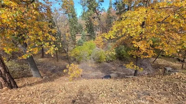 1000 Butte Avenue, Big Bear, CA 92314