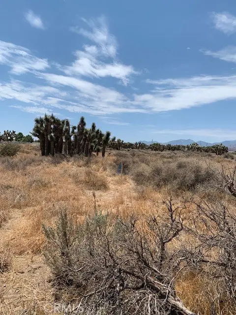 0 Tumbleweed, Phelan, CA 92371 - #2