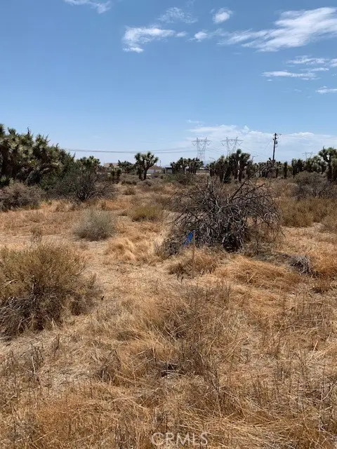 0 Tumbleweed, Phelan, CA 92371 - #3