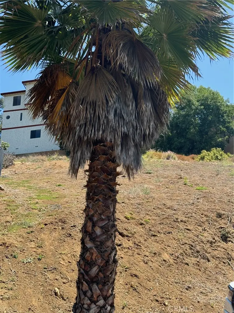 3713 Aguilar Street, Los Angeles, CA 90065 - #3