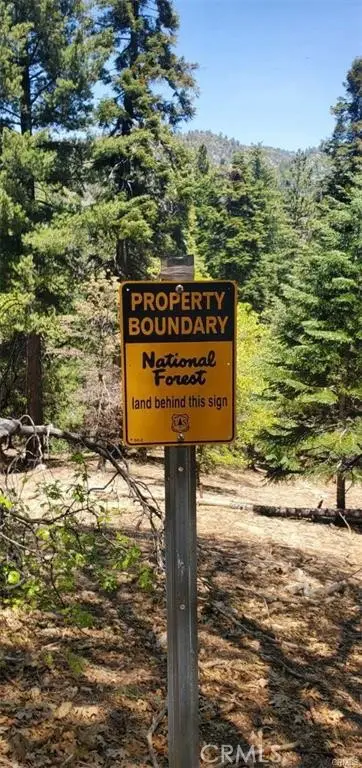 0 Deep Creek Drive, Running Springs, CA 92382 - Image #2