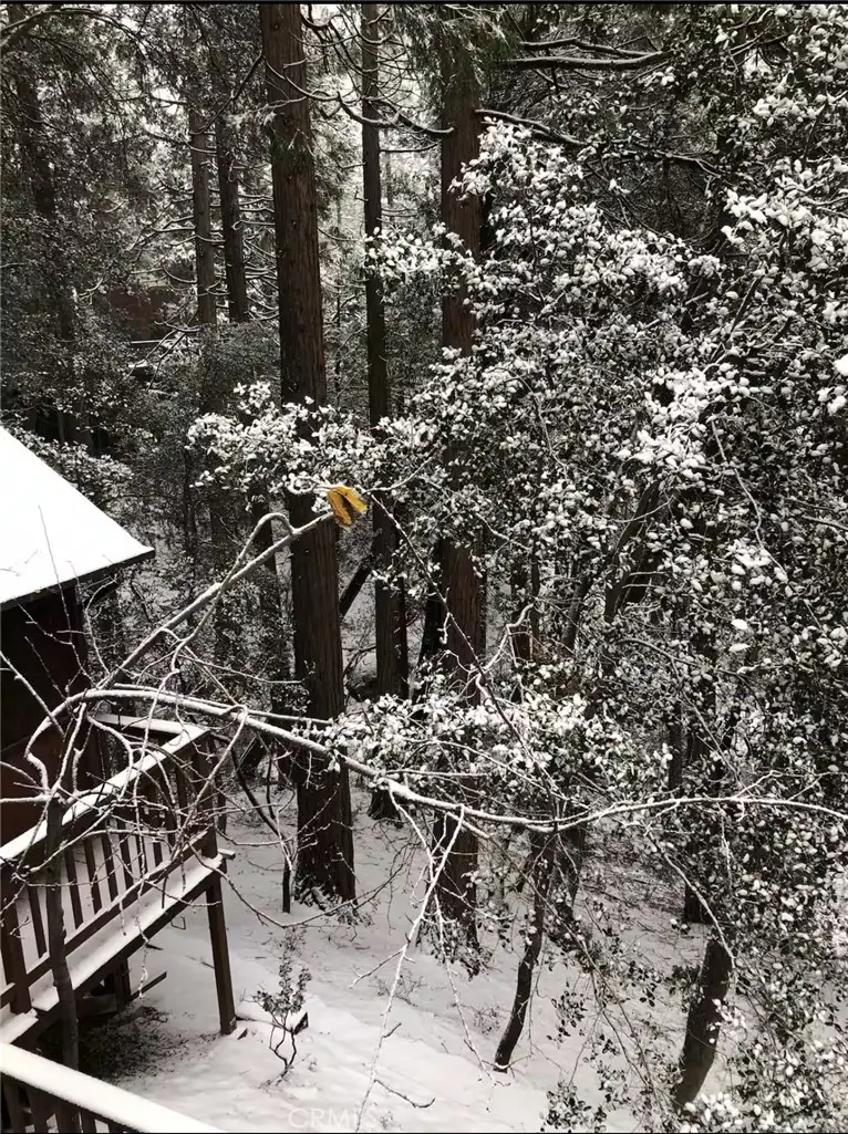 25370 Point Of Rocks Road, Idyllwild, CA 92549 - #3