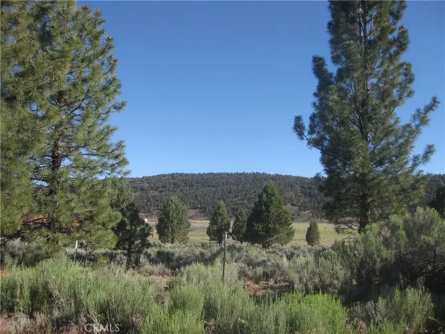 2805 Cedar Lane, Big Bear City, CA 92314 - #2