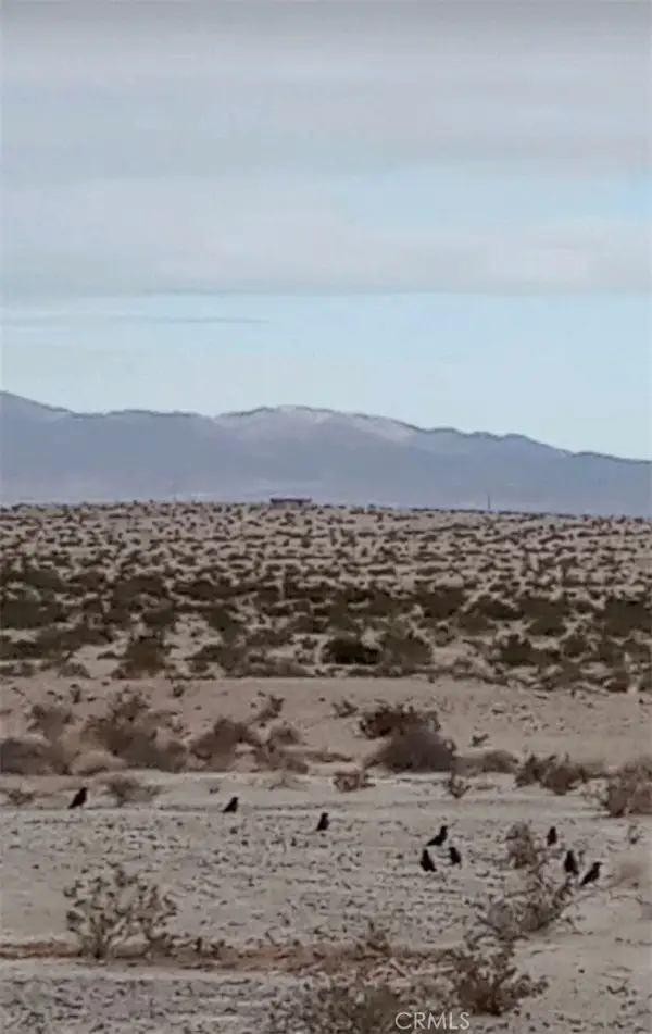 0 Jojoba Drive, 29 Palms, CA 92277