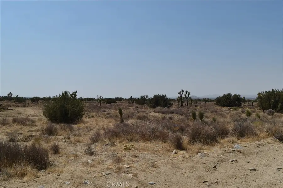 0 No Name, Landers, CA 92285 - #2
