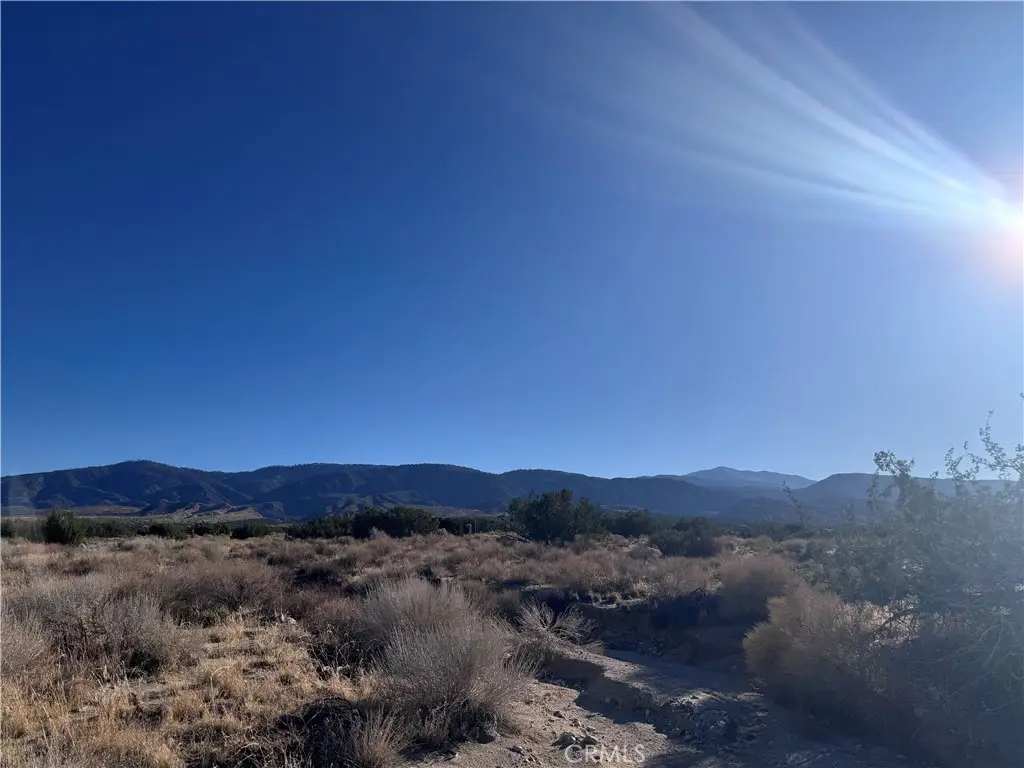 0 Vac/antelope, Llano, CA 93544 - #1