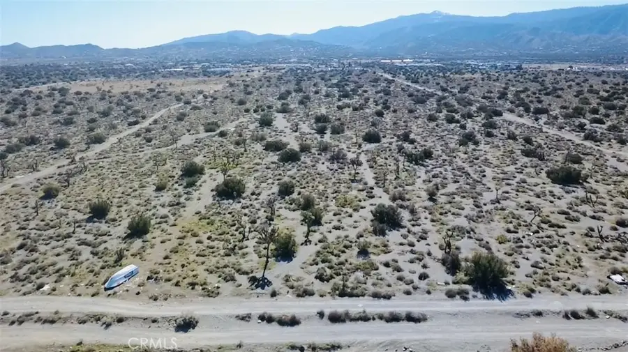 2975 Yucca Terrace, Pinon Hills, CA 92372 - #3