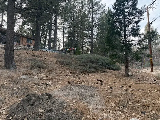 33275 Iris Drive, Green Valley Lake, CA 92341 - #1