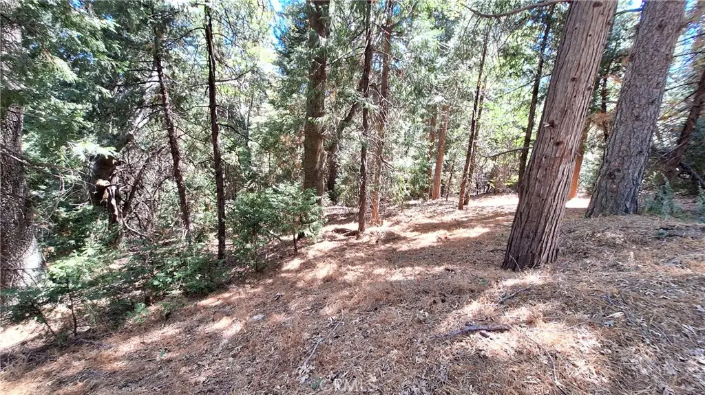 0 Cedar Pines, Cedarpines Park, CA 92322 - Image #1