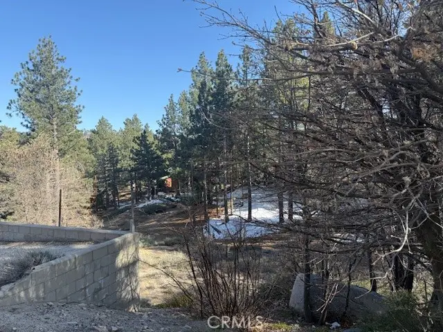 33263 Holcomb Creek, Green Valley Lake, CA 92341 - #2