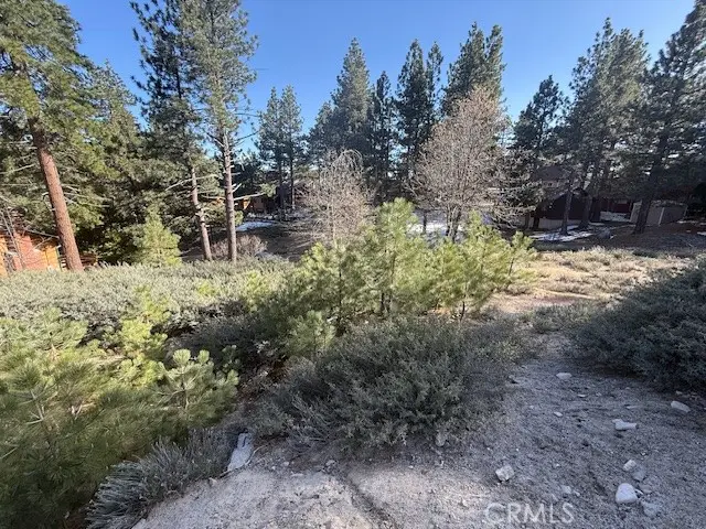 33263 Holcomb Creek, Green Valley Lake, CA 92341 - #3