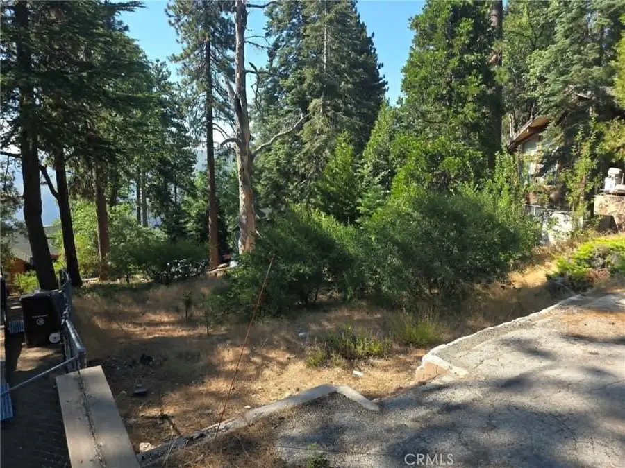 30778 Live Oak, Running Springs, CA 92382 - #2