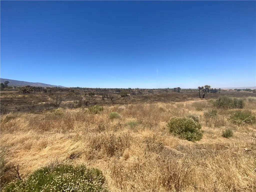 0 Joshua Tree, Landers, CA 92285 - #1