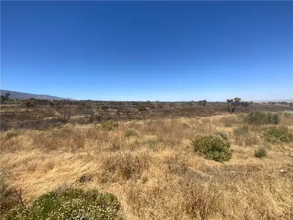 0 Joshua Tree, Lucerne Valley, CA 92285