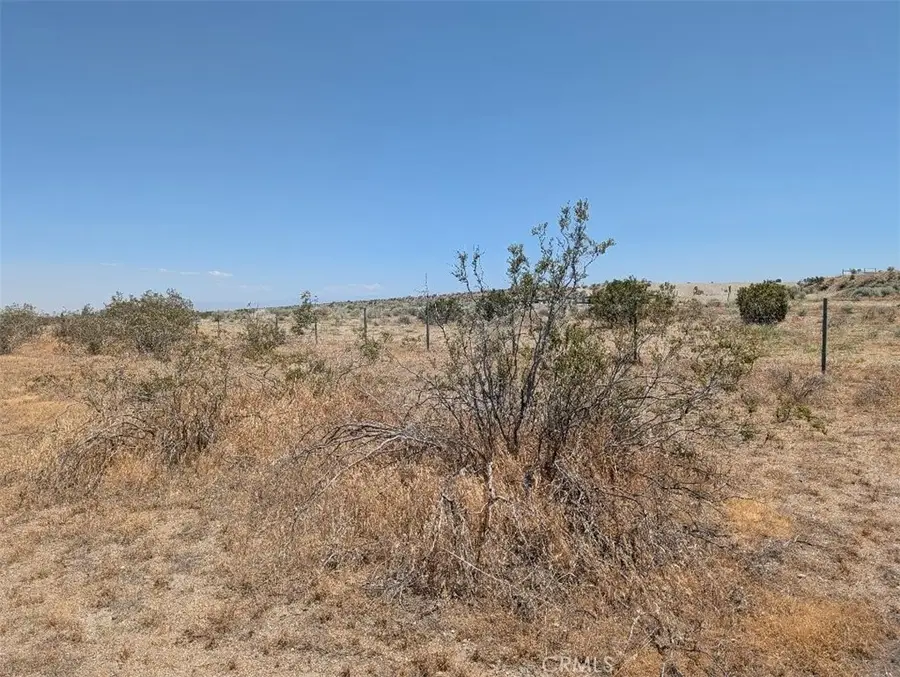 123 Dos Palmas, Pinon Hills, CA 92372 - #2