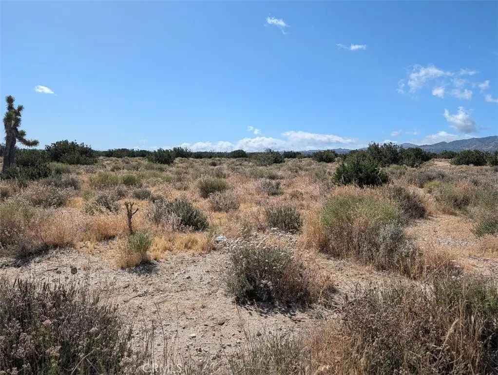 33 Antelope, Llano, CA 93544 - #1