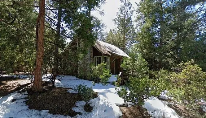 55000 Tahquitz View, Idyllwild, CA 92549 - #1