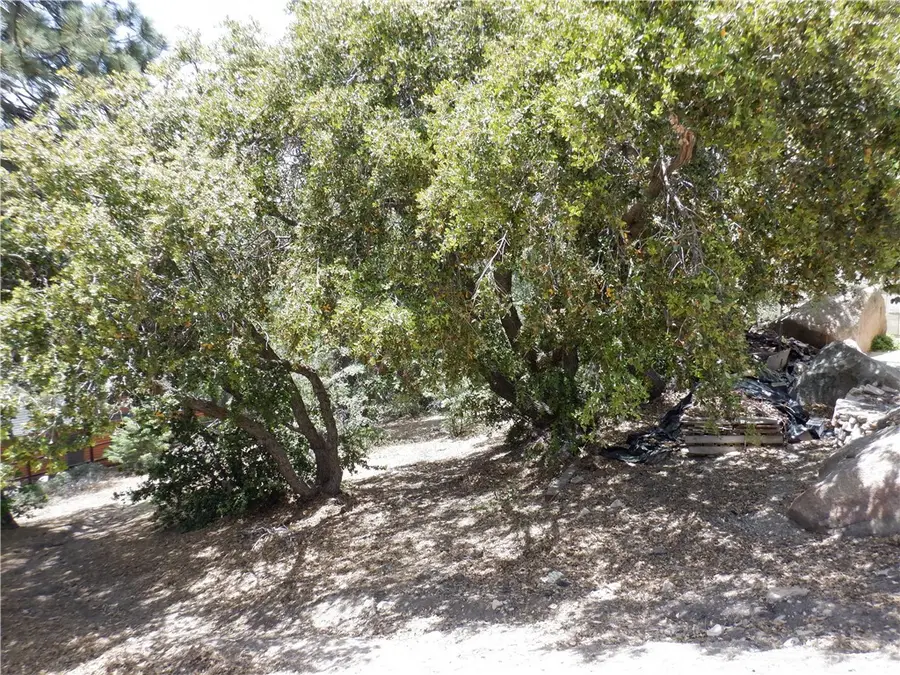 0 Holcomb Creek, Green Valley Lake, CA 92341 - #3