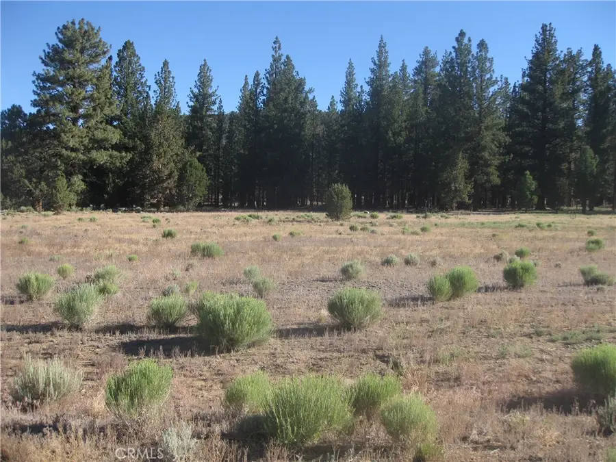 2818 Erwin Ranch Rd, Big Bear City, CA 92314 - #2