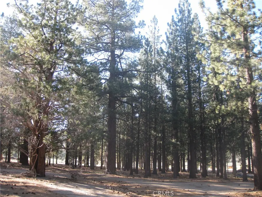 2818 Erwin Ranch Rd, Big Bear City, CA 92314 - #3