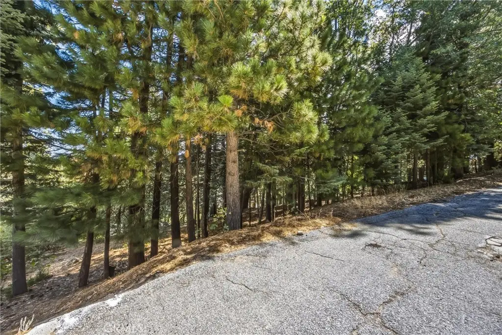 301 Fairway, Lake Arrowhead, CA 92352 - #1