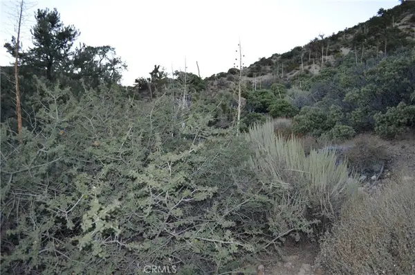 0 Verde, Pinon Hills, CA 92372
