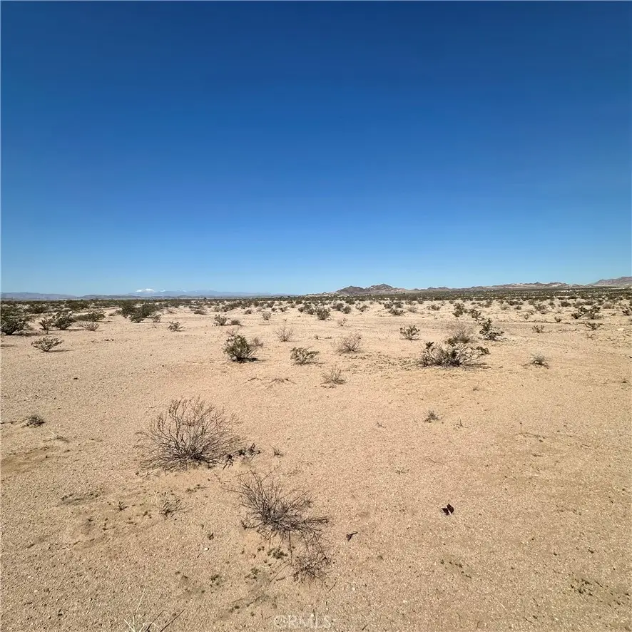 1234 Encanto Drive, Twentynine Palms Yucca Valley, CA 92277 - #2