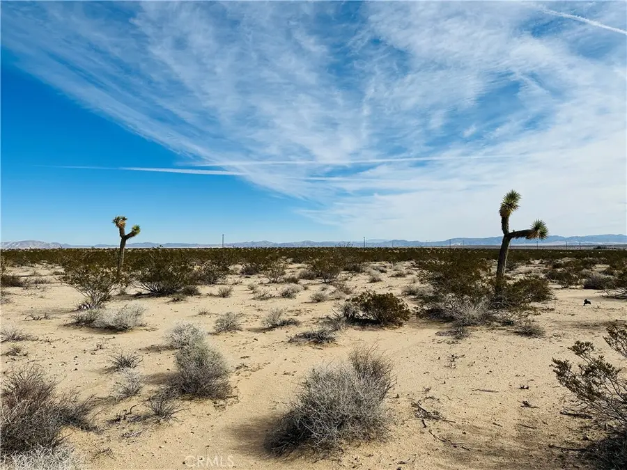 1234 Desert Lily Street, Joshua Tree, CA 92252 - #2