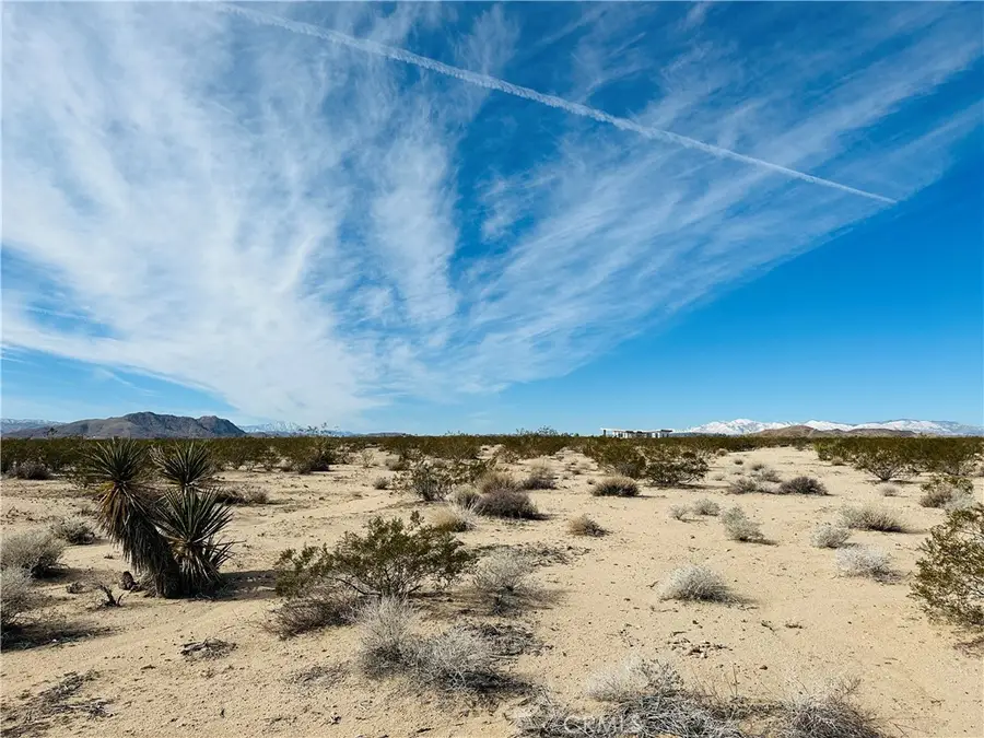 1234 Desert Lily Street, Joshua Tree, CA 92252 - #3
