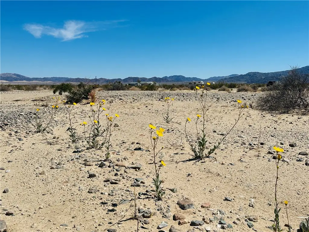 0 Stormy Road, Twentynine Palms Yucca Valley, CA 92277 - #1