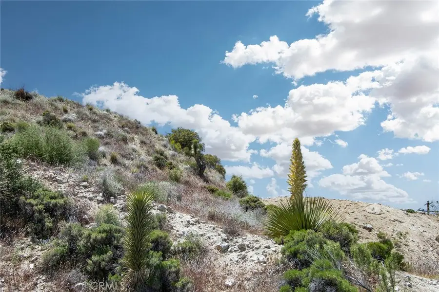 54129 Pinon Drive, Yucca Valley, CA 92284 - #2