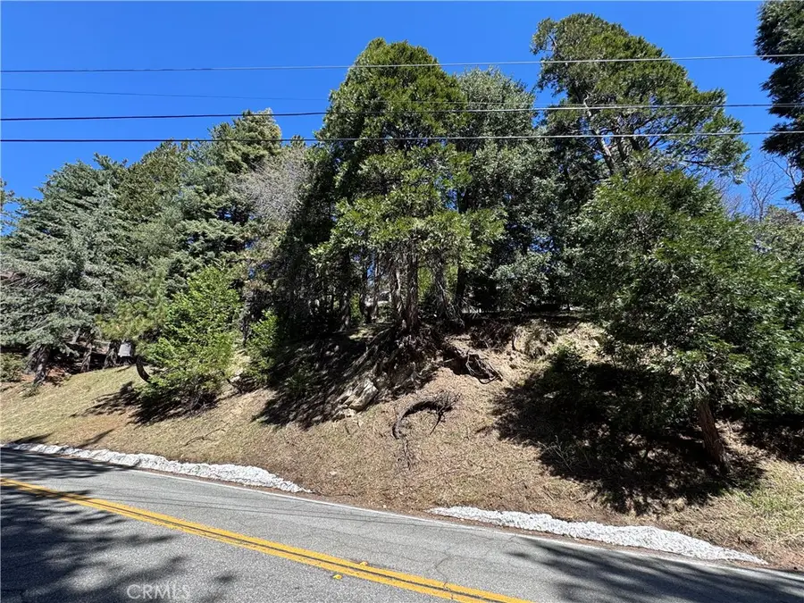 0 North Road, Twin Peaks, CA 92391 - Image #2