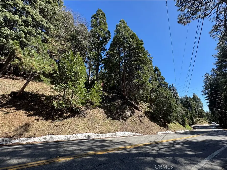 0 North Road, Twin Peaks, CA 92391 - Image #3