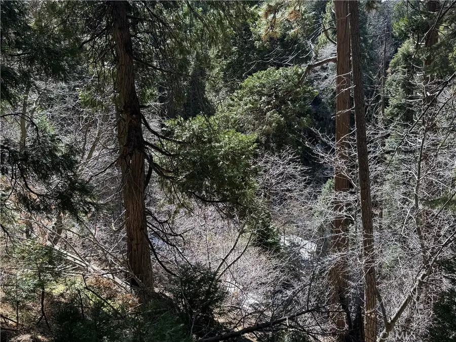 0 Sunderland Court, Lake Arrowhead, CA 92352 - #2